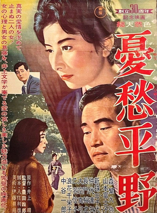 憂愁平野 — постер