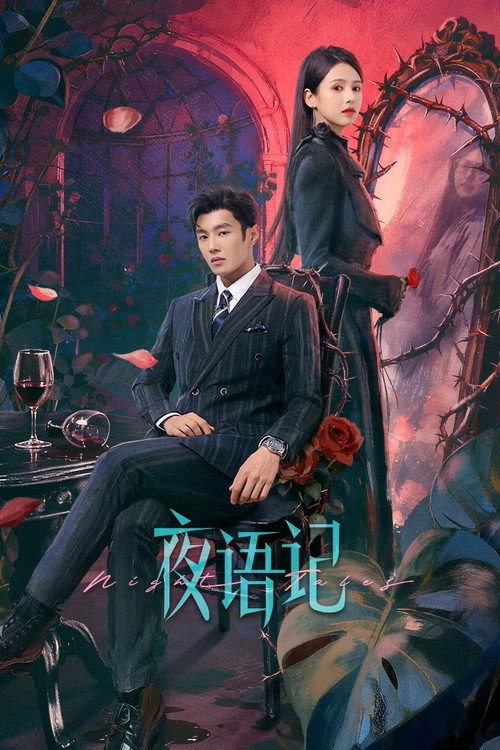 夜语记 — постер