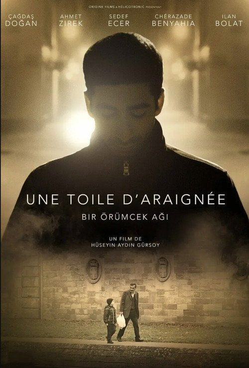 Une toile d’araignée — постер