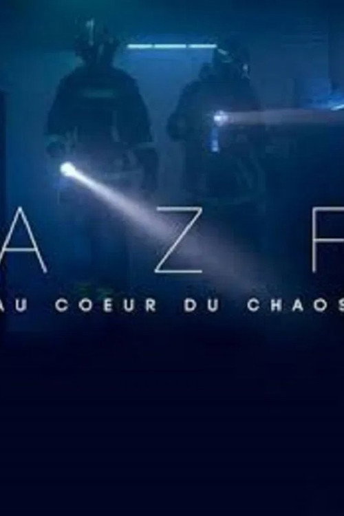 AZF: Au coeur du chaos — постер