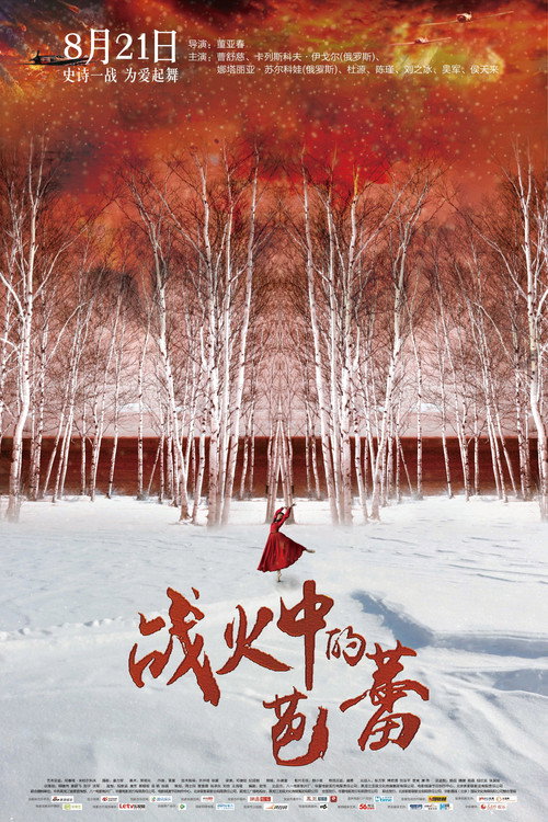 战火中的芭蕾 — постер