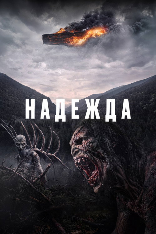 Надежда — постер