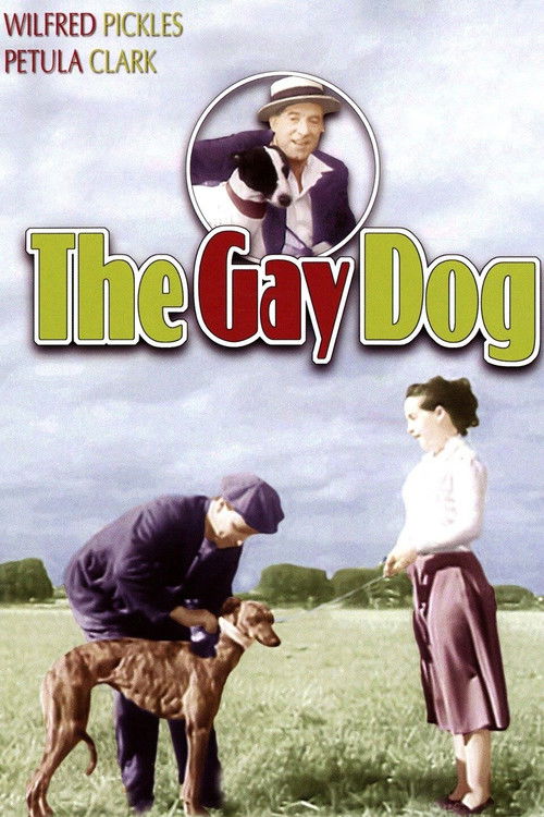 The Gay Dog — постер