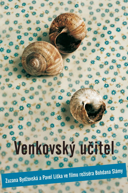 Сельский учитель — постер