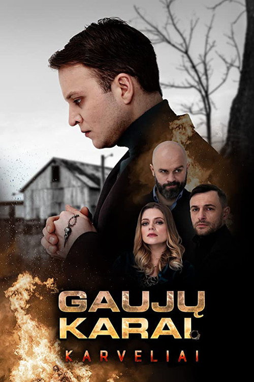 Gaujų karai. Karveliai — постер