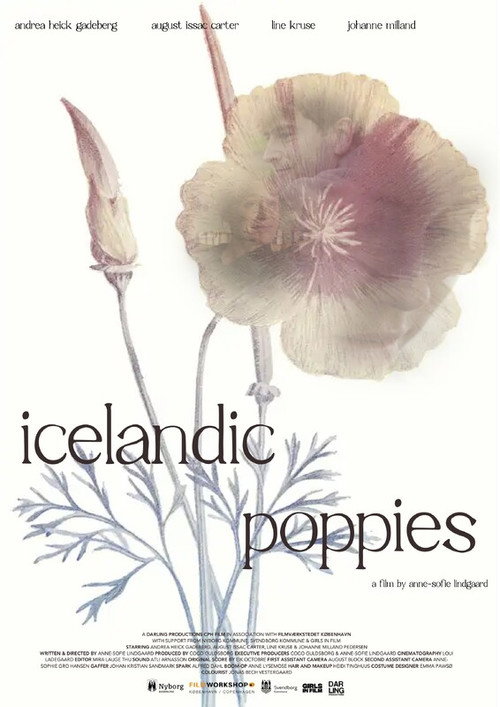 Icelandic Poppies — постер