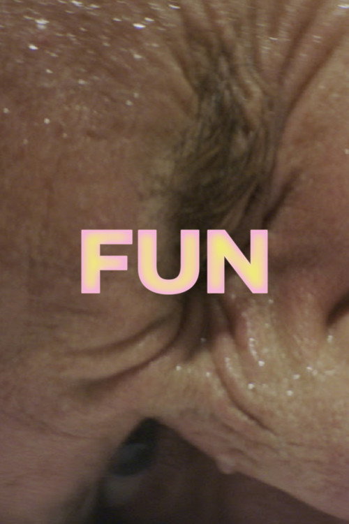 FUN — постер