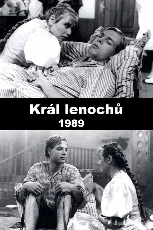 Král lenochů — постер