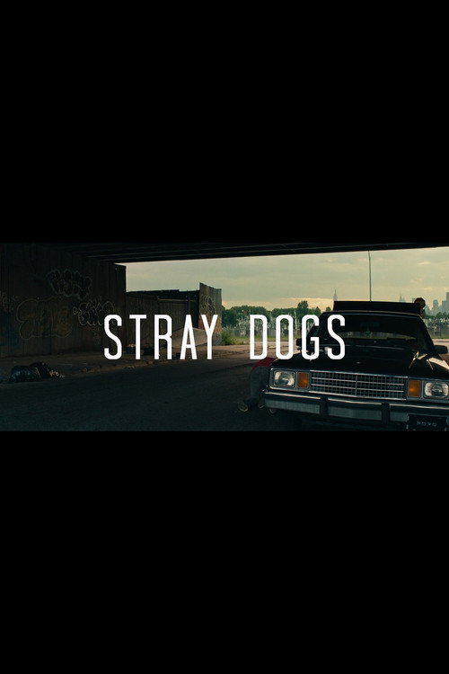Stray Dogs — постер