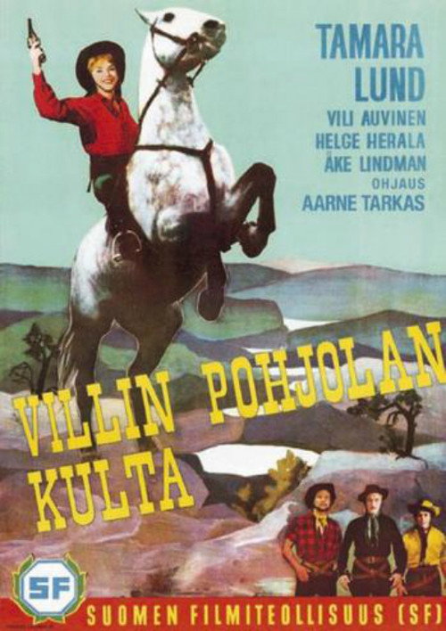 Villin Pohjolan kulta — постер