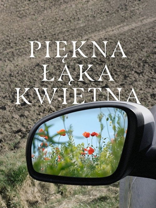 Piękna łąka kwietna — постер