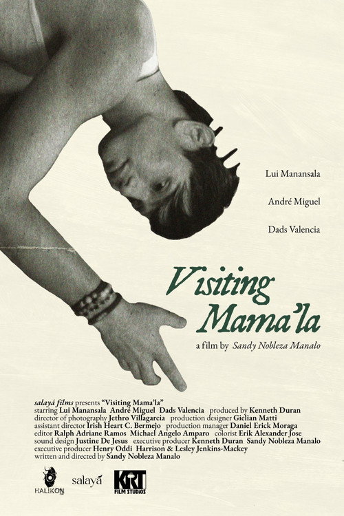 Visiting Mama'la — постер