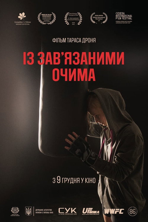 С завязанными глазами — постер