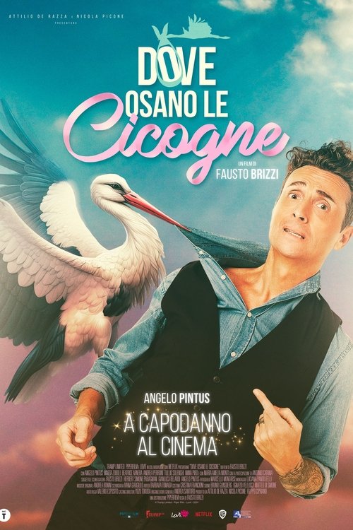 Dove osano le cicogne — постер