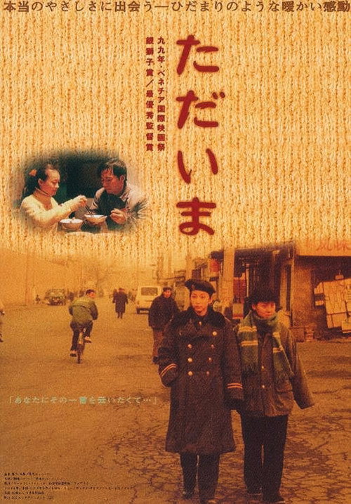 过年回家 — постер