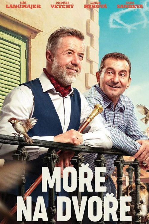 Море во дворе — постер
