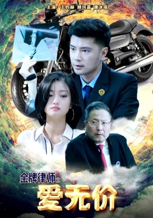 金牌律师之爱无价 — постер
