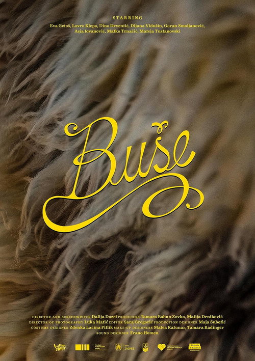 Buše — постер