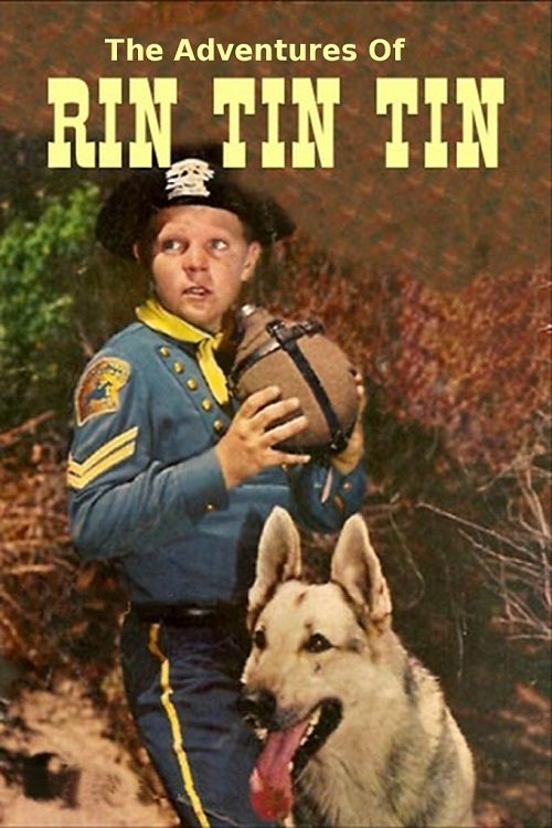 The Adventures of Rin Tin Tin — постер
