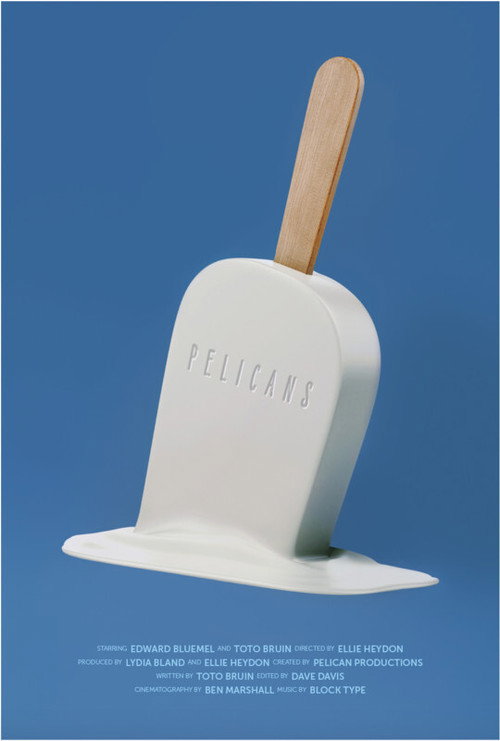 Pelicans — постер
