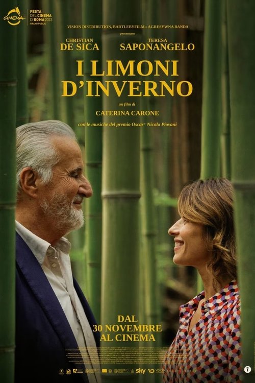 I limoni d'inverno — постер
