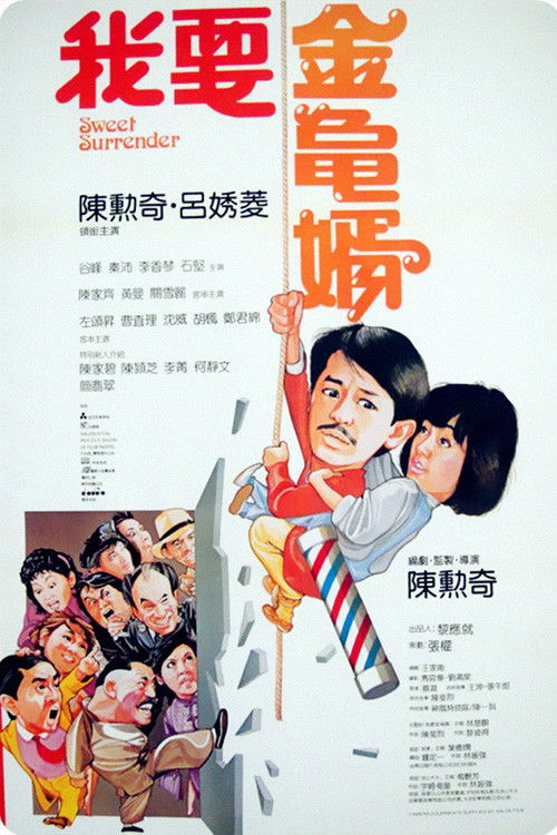 我要金龜婿 — постер