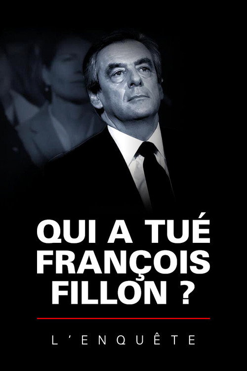 Qui a tué François Fillon ? L'Enquête — постер