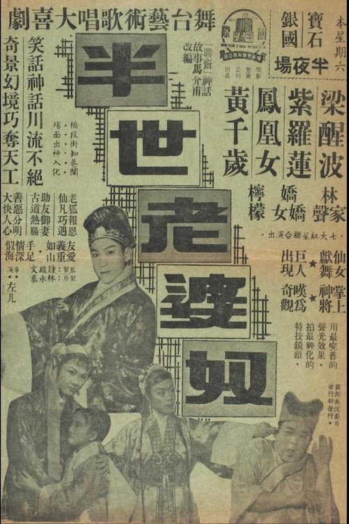 半世老婆奴 — постер