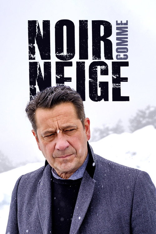 Noir comme neige — постер