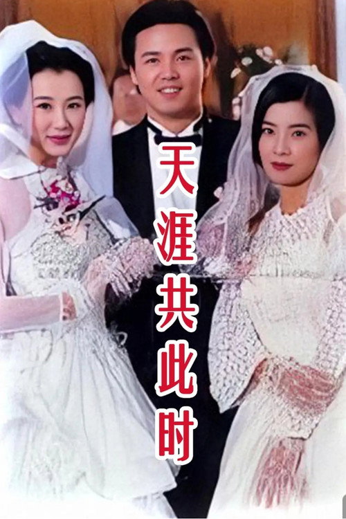 天涯共此时 — постер