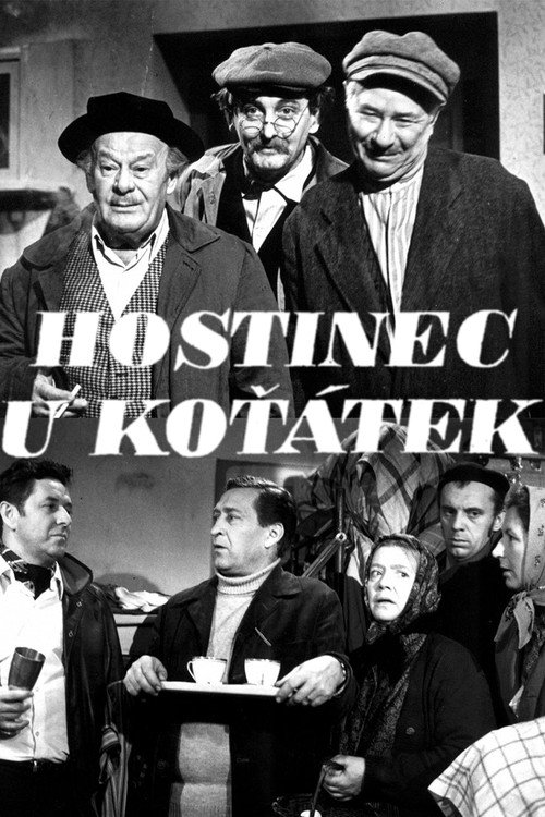 Hostinec U koťátek — постер