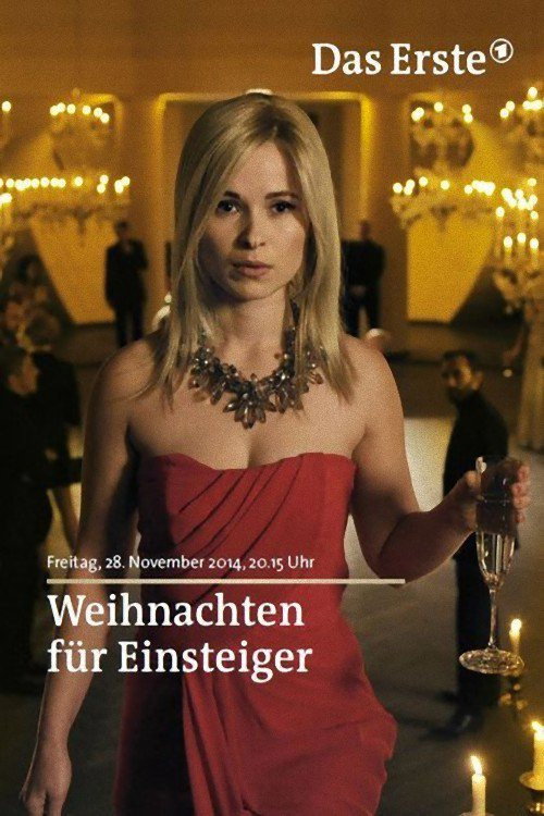 Weihnachten für Einsteiger — постер
