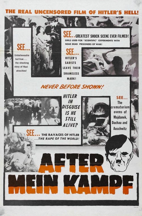 After Mein Kampf? — постер