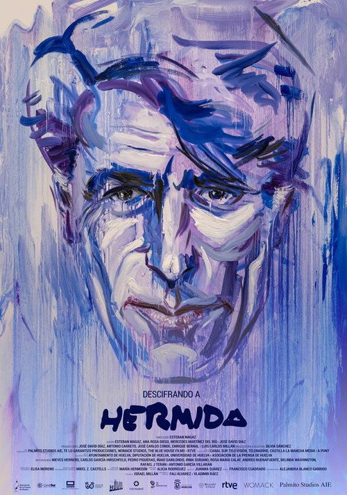 Descifrando a Hermida — постер