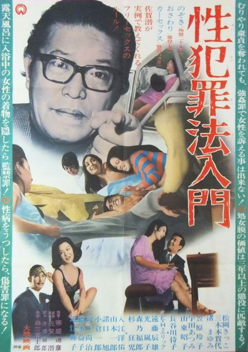 性犯罪法入門 — постер