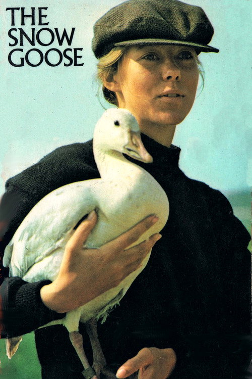 The Snow Goose — постер