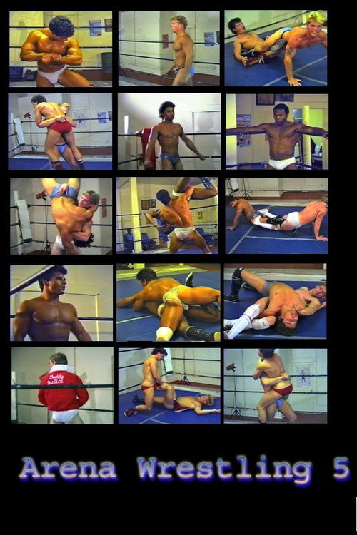 Arena Wrestling 5 — постер