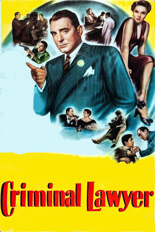 Criminal Lawyer — постер