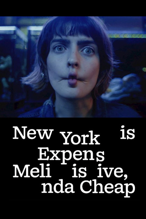 New York is Expensive, Melinda is Cheap — постер