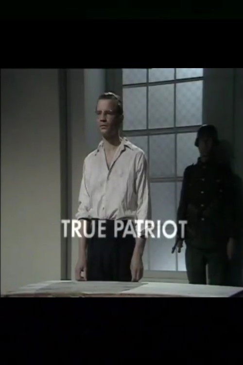True Patriot — постер