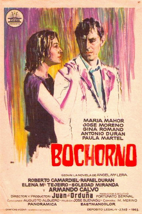 Bochorno — постер