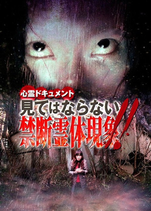 心霊ドキュメント 見てはならない禁断霊体現象！！ — постер