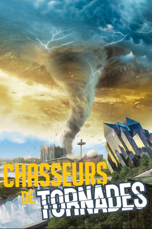Chasseurs de Tornades — постер
