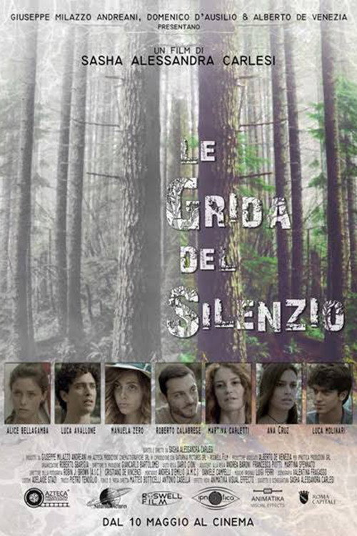 Le grida del silenzio — постер