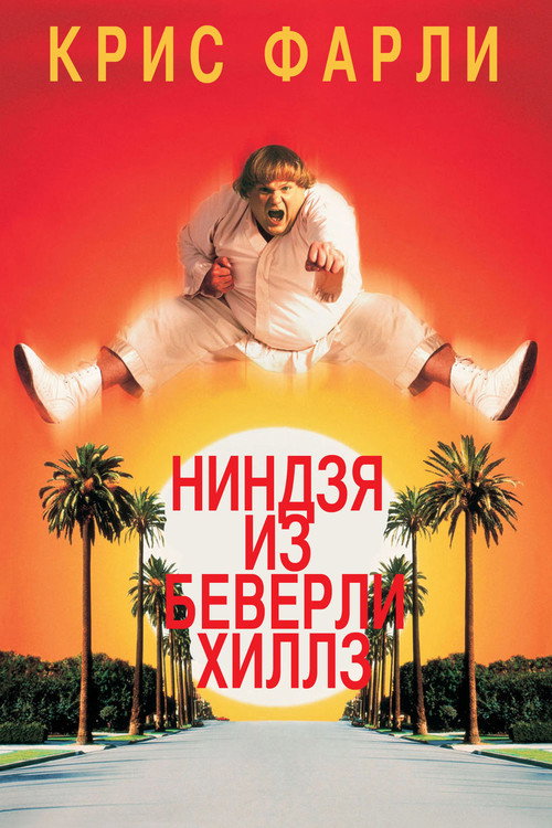 Ниндзя из Беверли Хиллз — постер