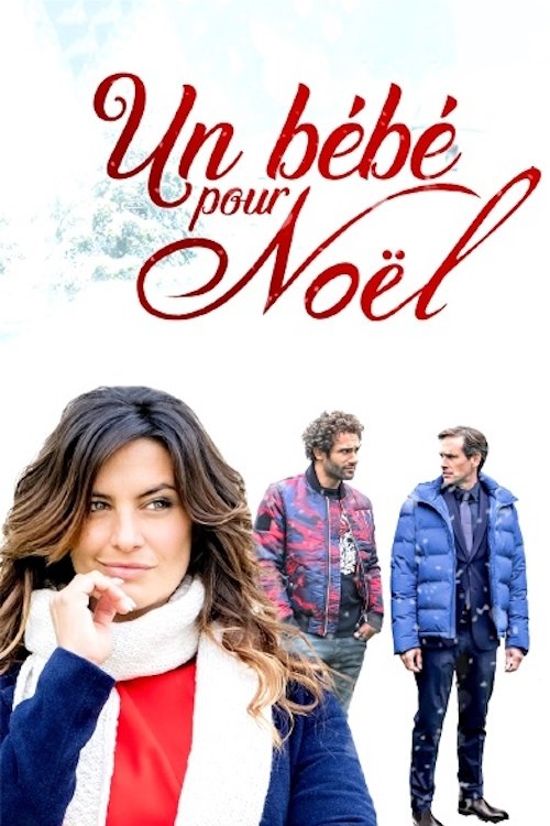 Un bébé pour Noël — постер