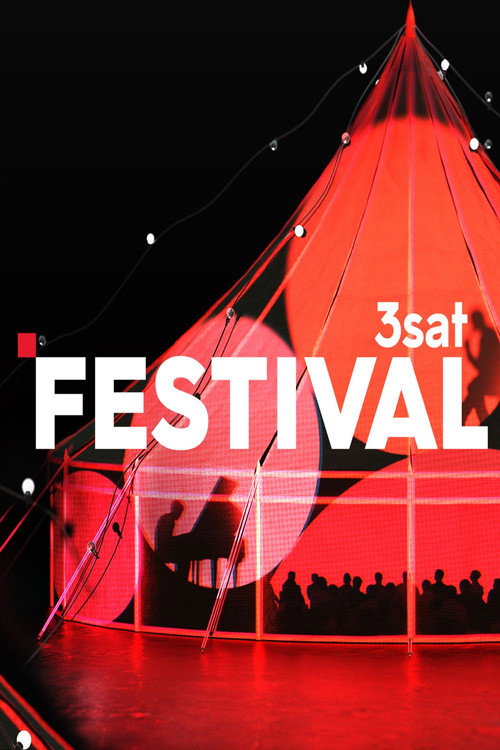 3satfestival — постер