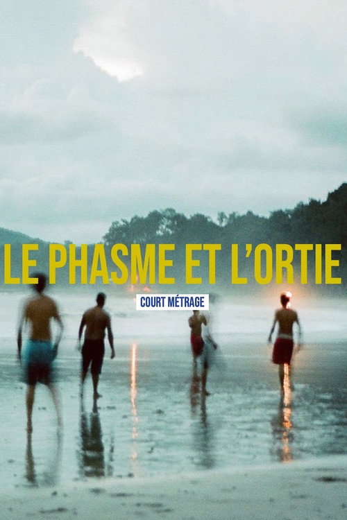 Le phasme et l'ortie — постер