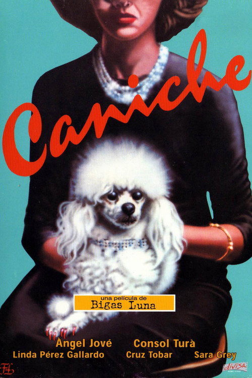 Caniche — постер