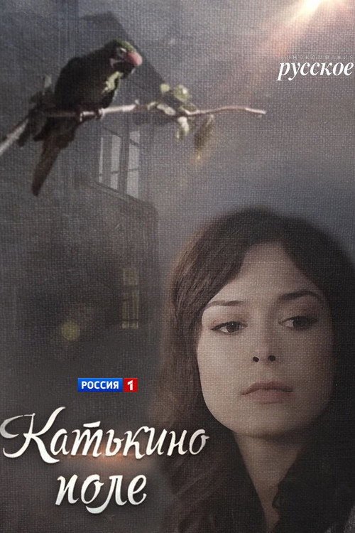 Катькино поле — постер